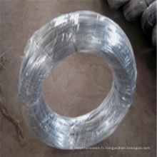 Fil de fer galvanisé / fil chaud décoratif (usine du fabricant)